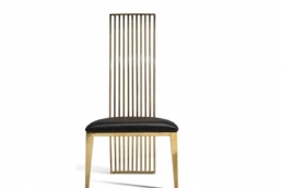 SLC-15  Stainless Chair