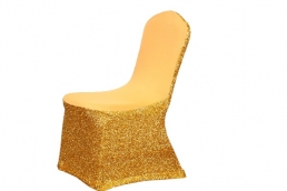 CC-07 Bright Silk Chair Cover