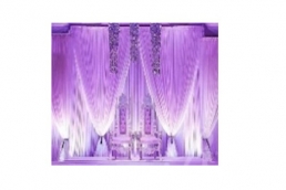 WBD-1 Wedding Back Drape 