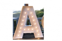LLL-2_ 120cm Stainless LED Letter