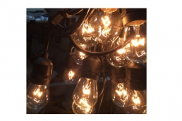 FSL-2 S14-Filament  String Light