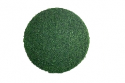 AFH-9- D200  Hedges