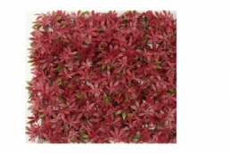 AFG-15 Artificial Grass