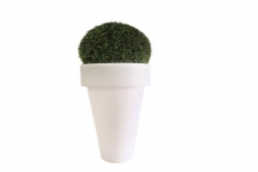 AMB-0 Boxwood Balls In Fiber Glass Planter