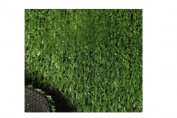 AFC-1 Lawn Carpet