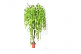 AFT-1 Artificial Willow Tree With Pot