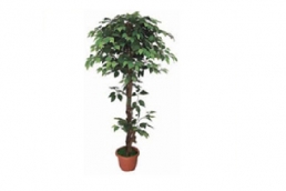 AFT-8 Artificial Banyan Tree