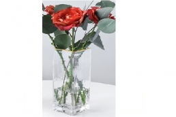 GCD-2-G Square Glass
